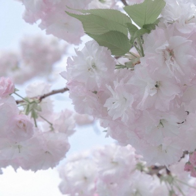 Furry角色动作绘画技巧福瑞群